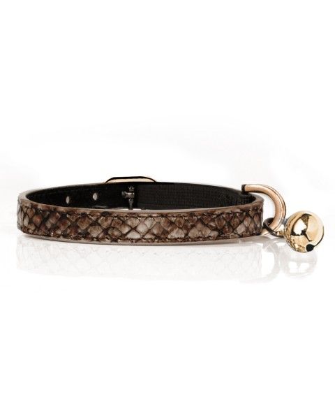 Collier Cobra Marron Pour Chat Balade Balade Voyage Chats Colliers Pets In The Cite