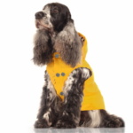 imperméable-chien-babord-jaune-milk-and-pepper-chien-1