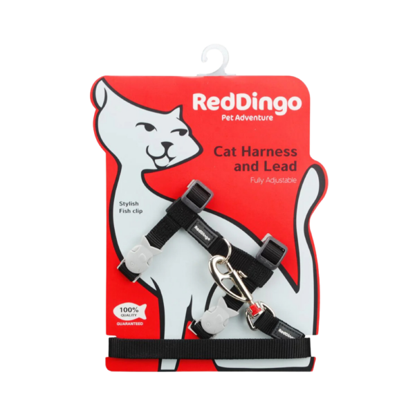 harnais-chat-noir-laisse-assortie-reddingo