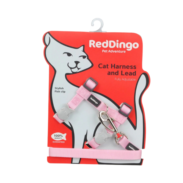 harnais-chat-rose-laisse-assortie-reddingo