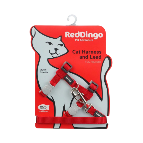 harnais-chat-rouge-laisse-assortie-reddingo