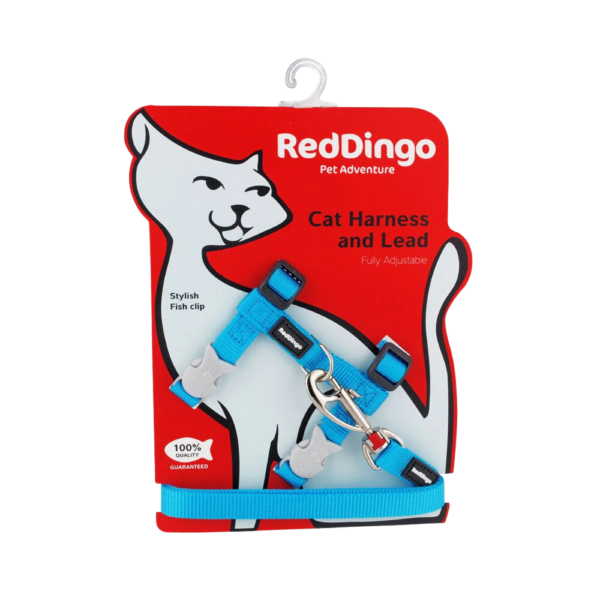 harnais-chat-turquoise-laisse-assortie-reddingo