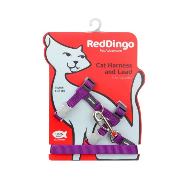 harnais-chat-violet-laisse-assortie-reddingo