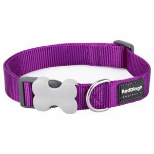 Collier pour Chien en Nylon Violet | RedDingo