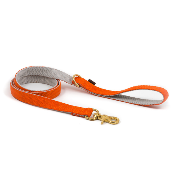 laisse classique pure orange