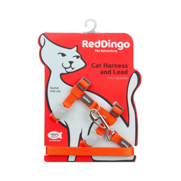 harnais-chat-orange-laisse-assortie-reddingo